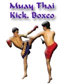 Kickboxing/Boxeo/Muay Thai
