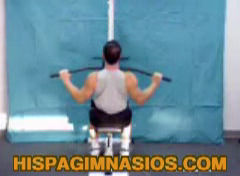 Ejercicios de espalda