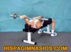 Ejercicios de triceps